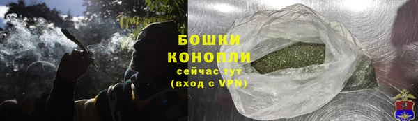МДПВ Ельня