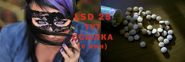 сатива Гусь-Хрустальный