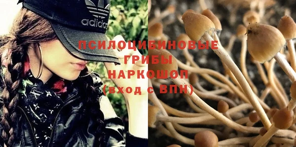каннабис Гусиноозёрск
