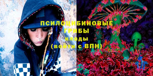 сатива Гусь-Хрустальный