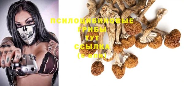 сатива Гусь-Хрустальный