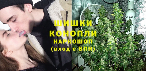 сатива Гусь-Хрустальный