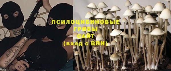 крисы Гусев
