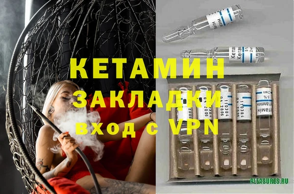 сатива Гусь-Хрустальный