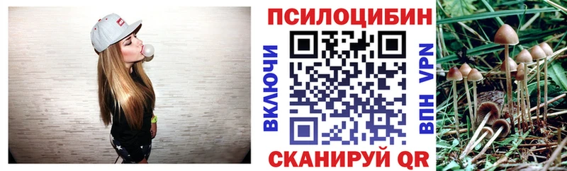 Купить закладки  Белогорск  Псилоцибиновые грибы мухоморы 