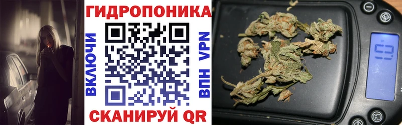Купить закладки  Белогорск  Конопля гибрид 